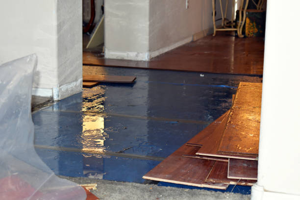 Professional Storm Water Damage Restoration technician working in Russells Point, OH